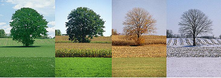 《暗影火炬城》公布发售预告 9月7日登陆PS5＆PS4平台