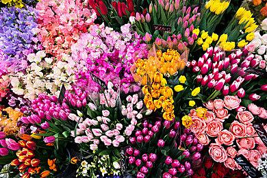 不用再重制了 《死亡空间：重制版》作曲家希望EA直接出4代续作